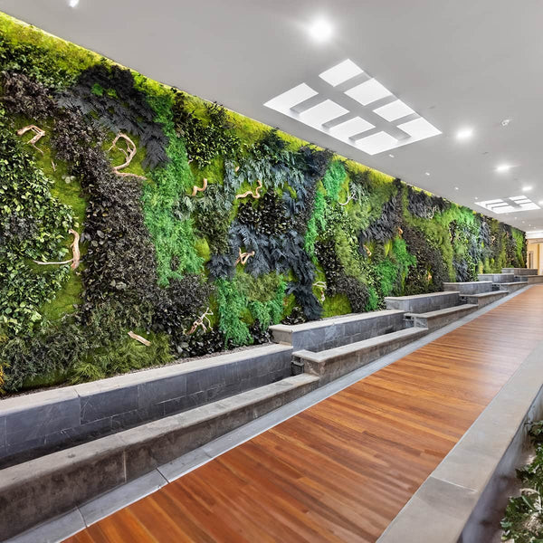 Greenarea novenyfalak Deco&Moss